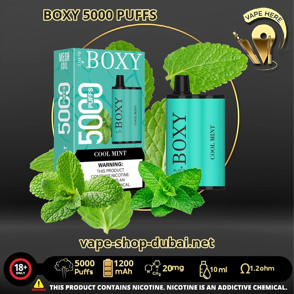 BOXY Disposable Vape 5000 Puffs