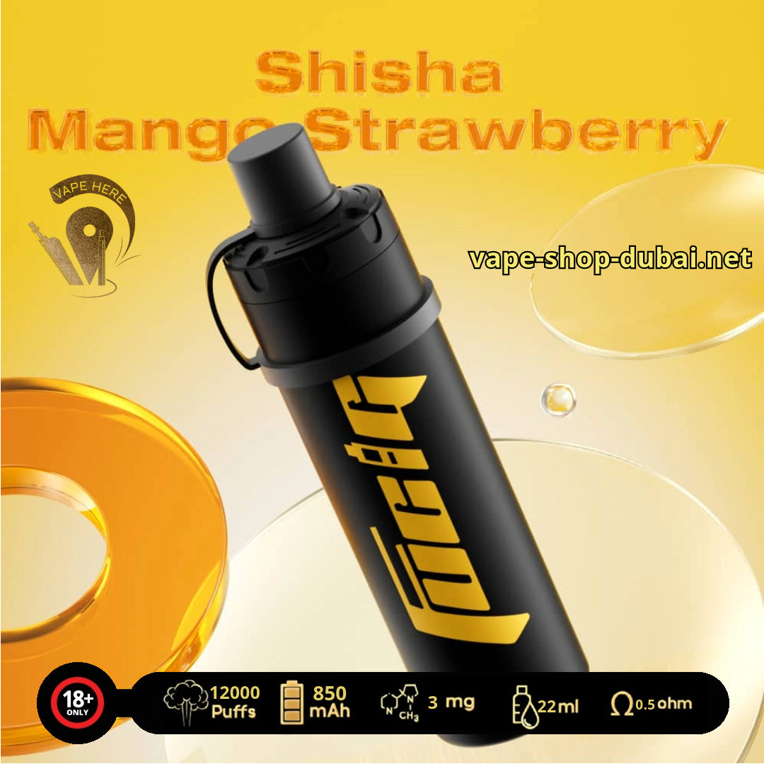 FUCIG SHISHA C12000 PUFFS DISPOSABLE VAPE