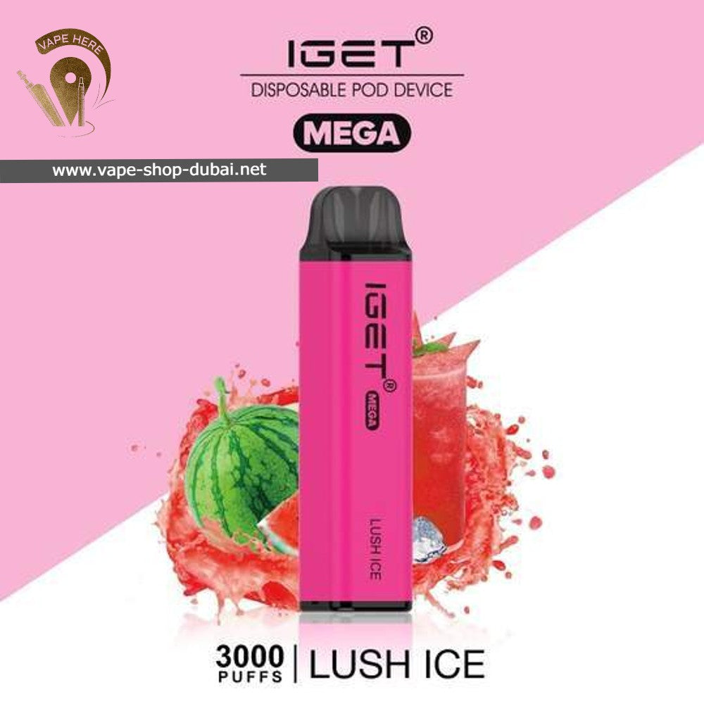 IGET MEGA Disposable Vape 3000 Puff