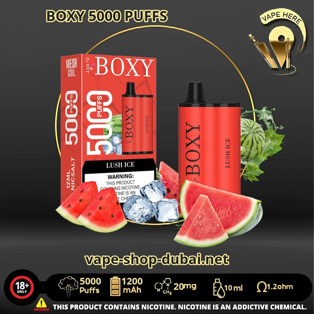 BOXY Disposable Vape 5000 Puffs