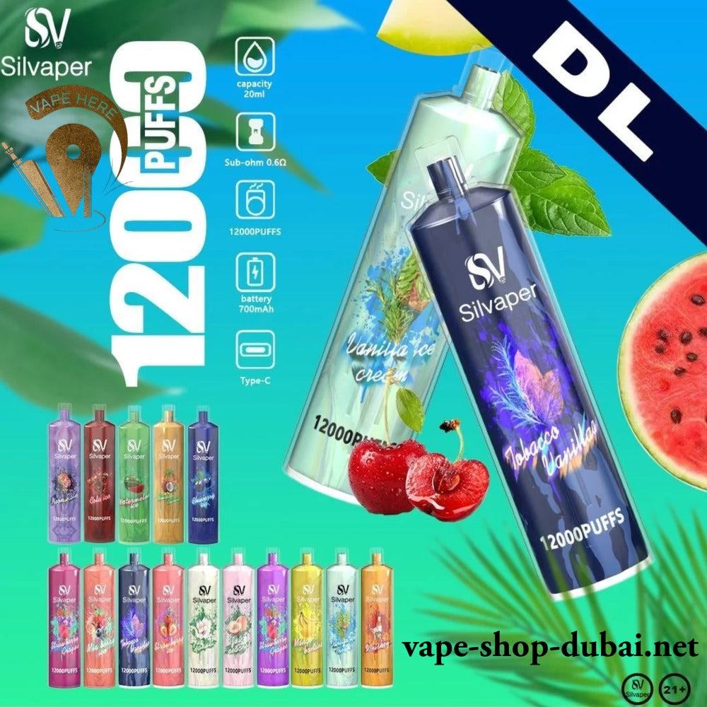 SILVA ROCK DISPOSABLE VAPE DTL 12000 PUFFS