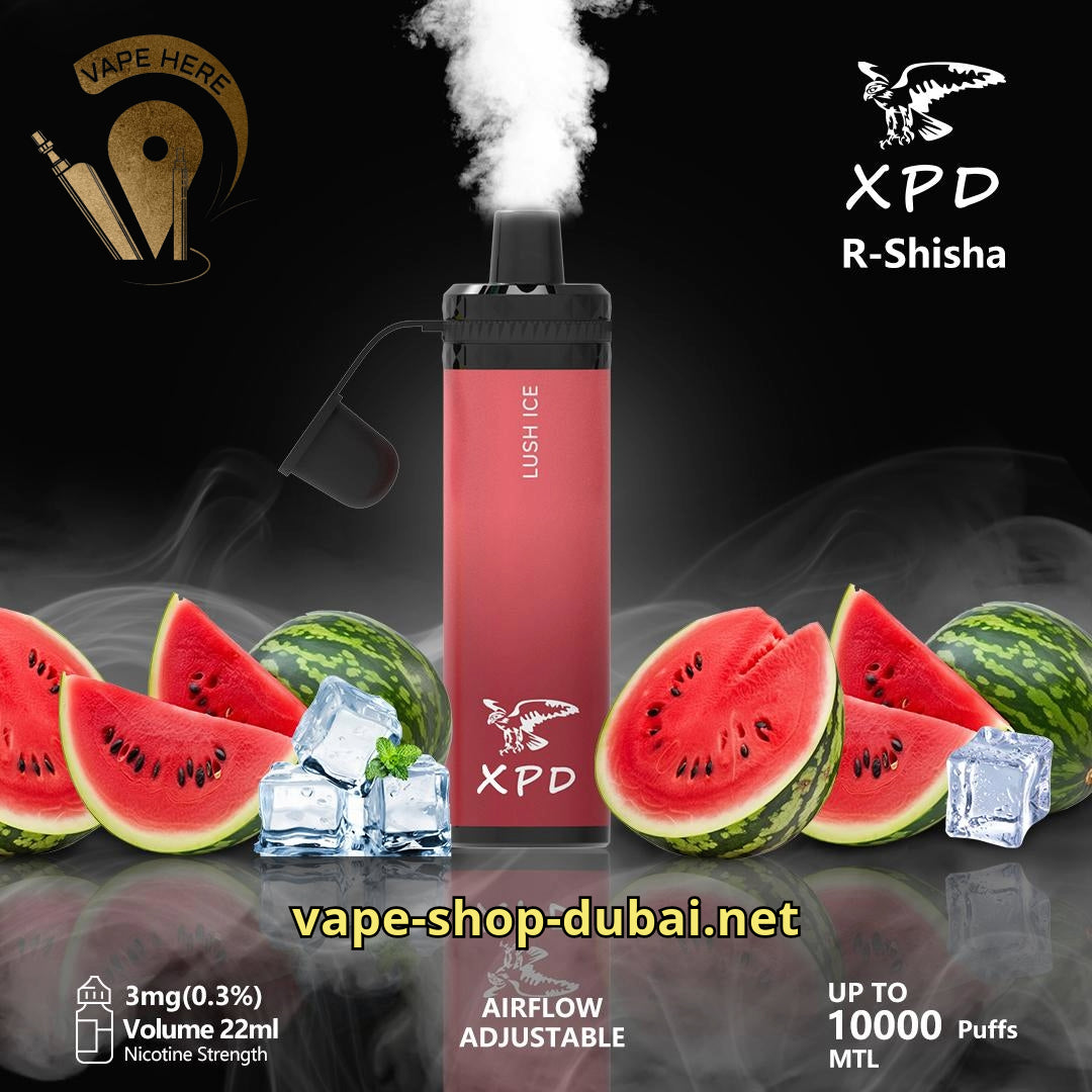 XPD BAR SHISHA Disposable Vape 10000 Puffs