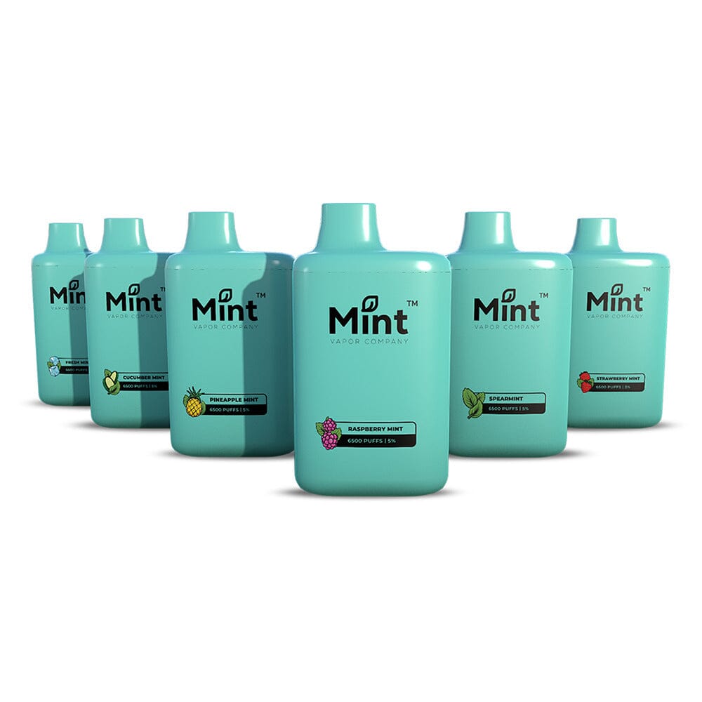 Mint Series Disposable Vape 6500 Puffs